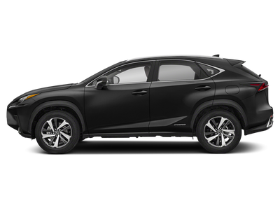 2020 Lexus NX 300h AWD