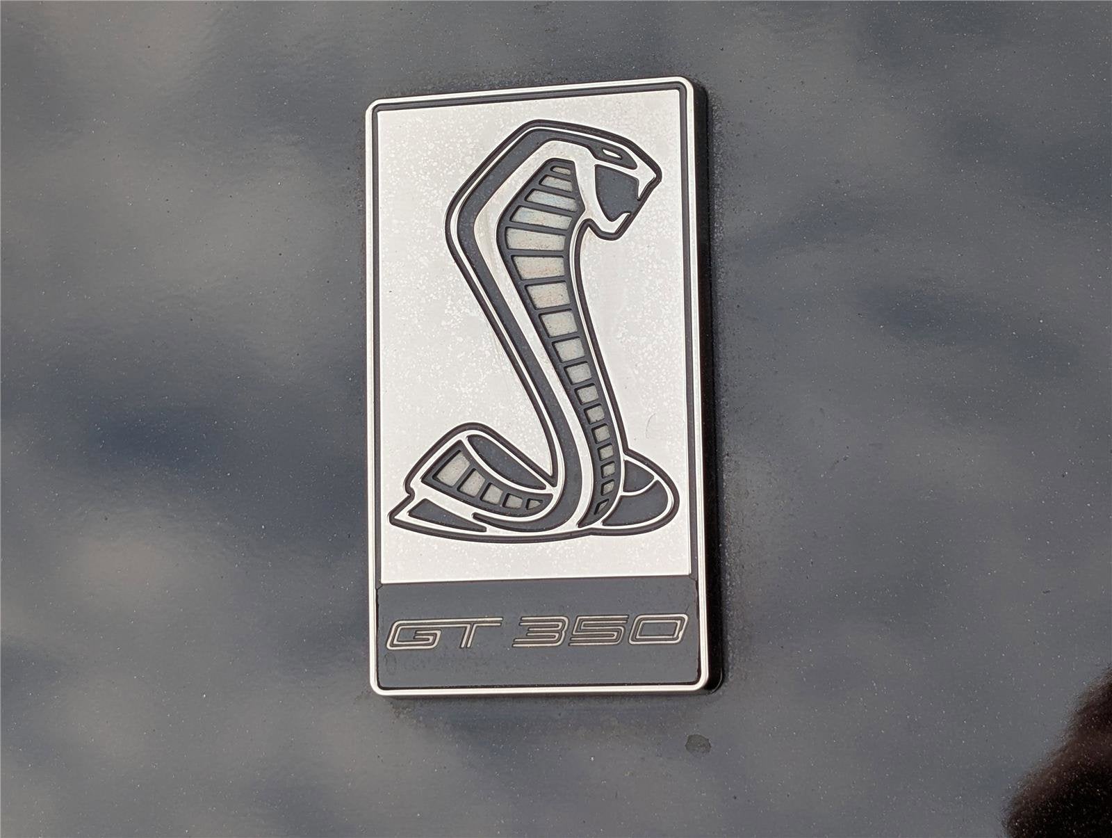 2019 Ford Mustang Shelby GT350