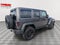 2016 Jeep Wrangler Unlimited Black Bear
