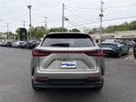 2023 Lexus NX 350 Premium AWD