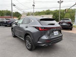 2024 Lexus NX 350 Premium AWD