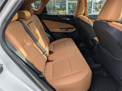 2024 Lexus NX 350 Premium AWD