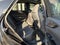 2022 Lexus NX 350 F SPORT Handling AWD
