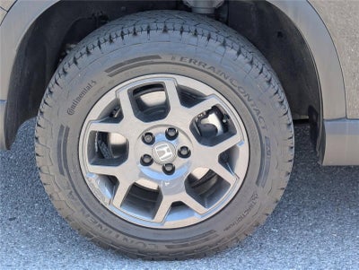 2024 Honda Pilot TrailSport