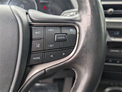 2021 Lexus UX 250h AWD