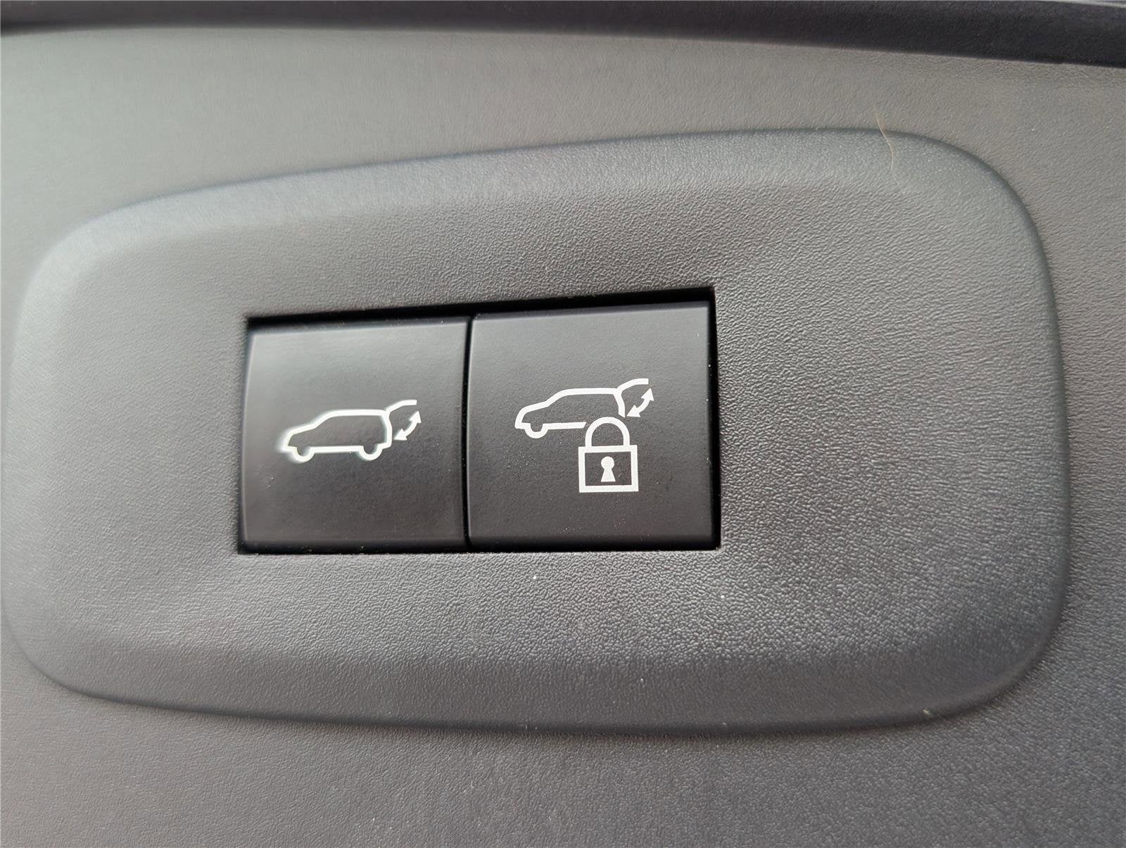 2023 Lexus RZ RZ 450e Luxury