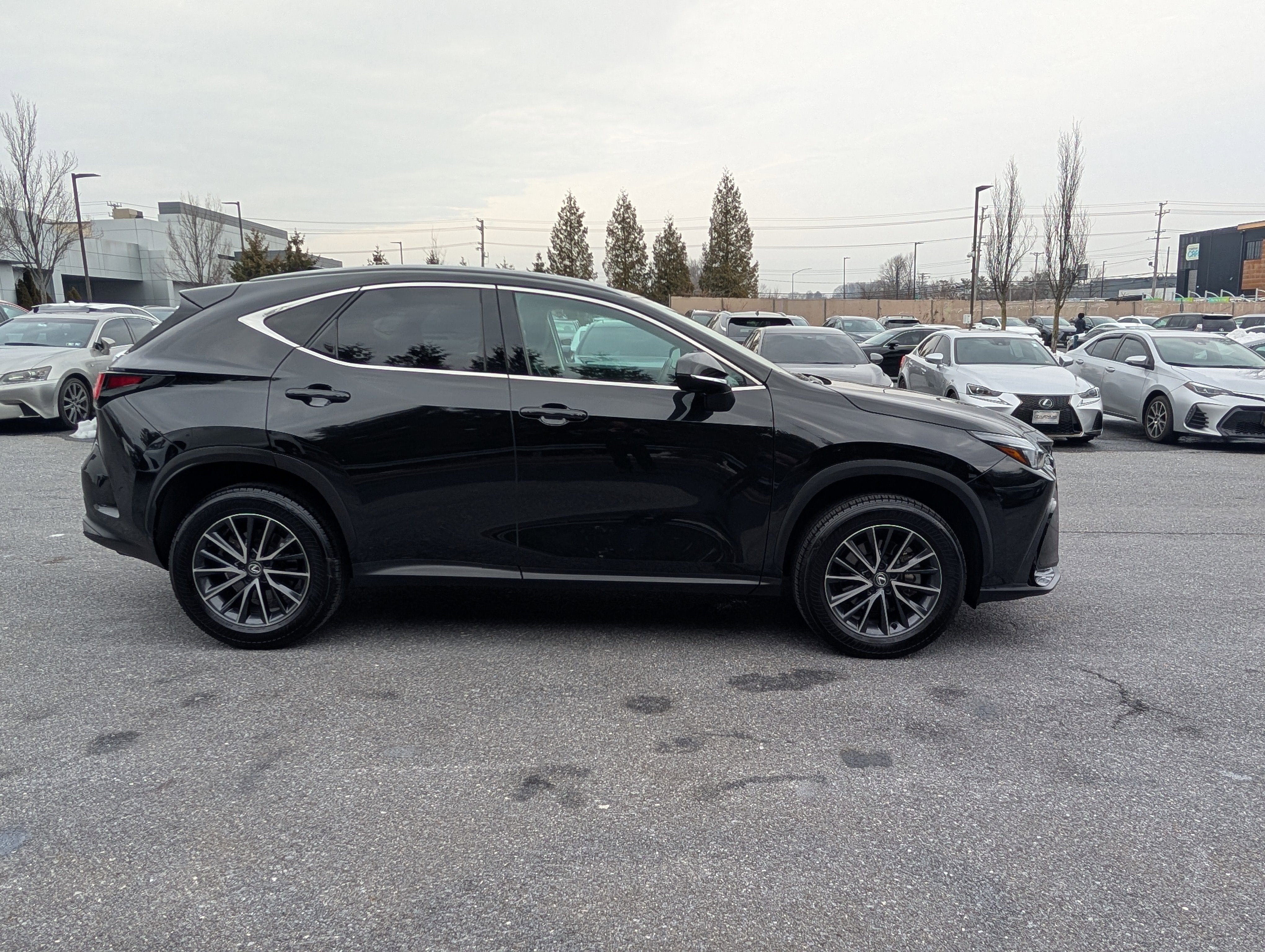 2024 Lexus NX 250