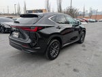 2024 Lexus NX 250