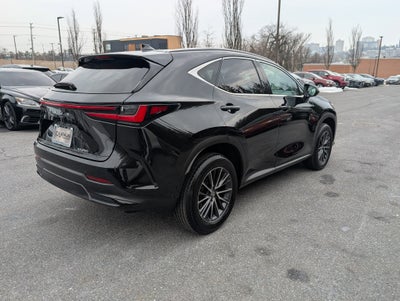 2024 Lexus NX 250