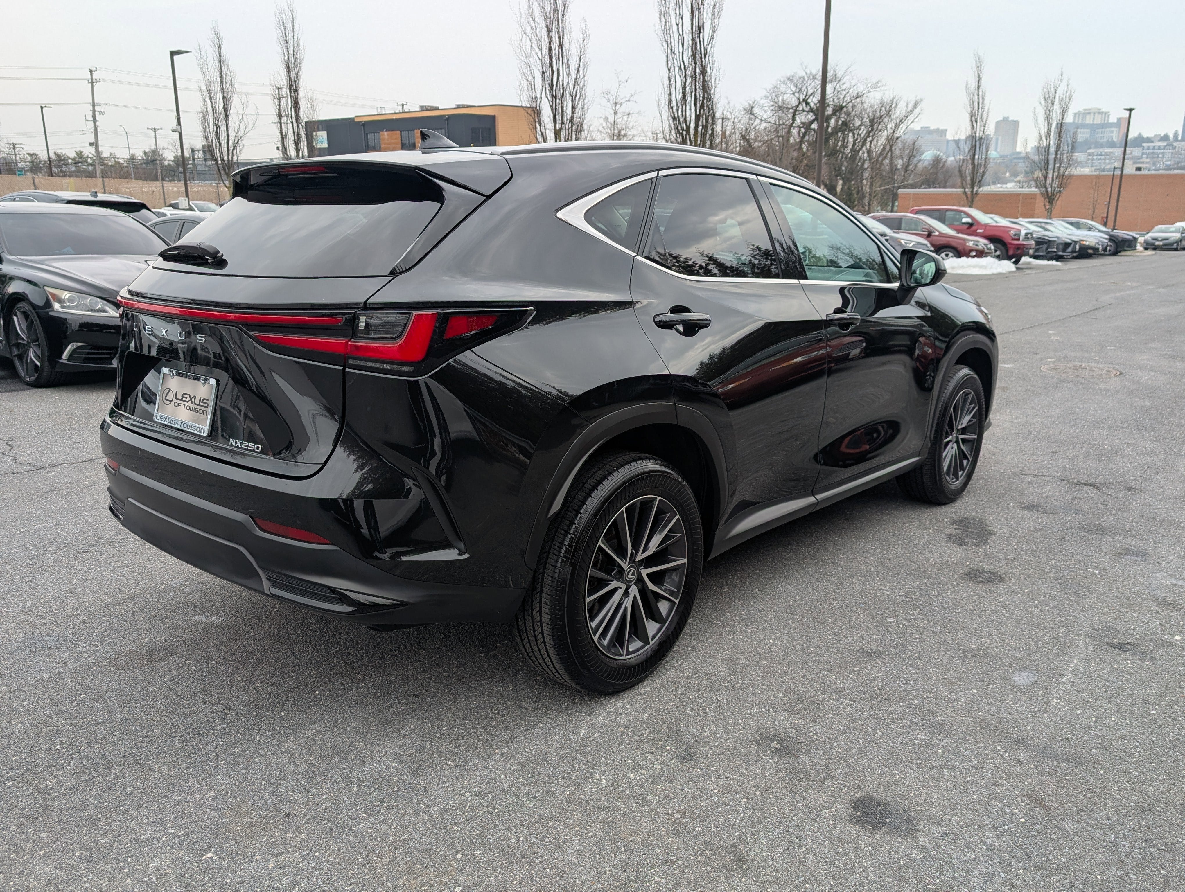 2024 Lexus NX 250