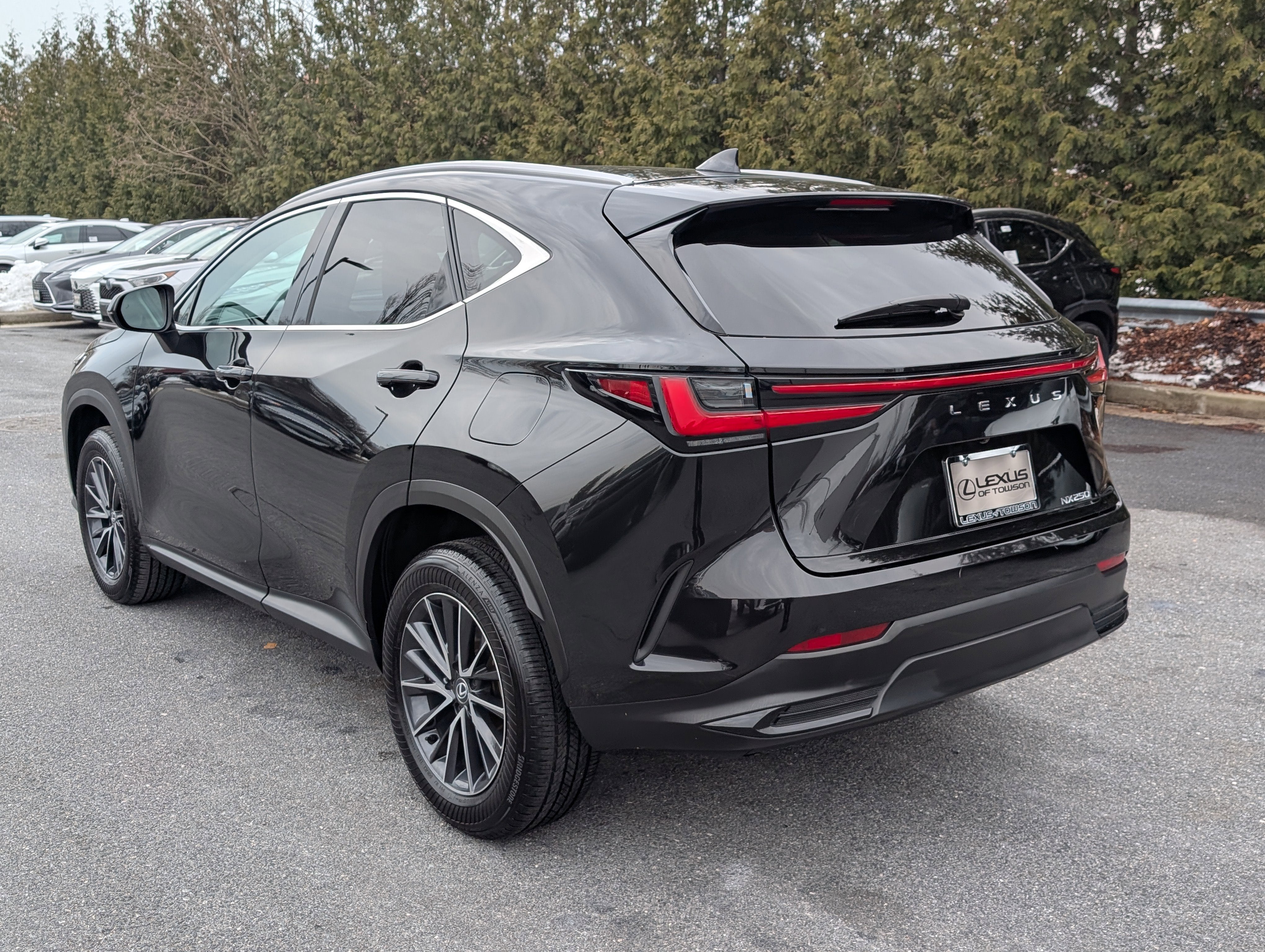 2024 Lexus NX 250