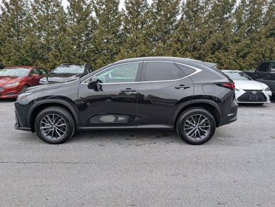 2024 Lexus NX 250