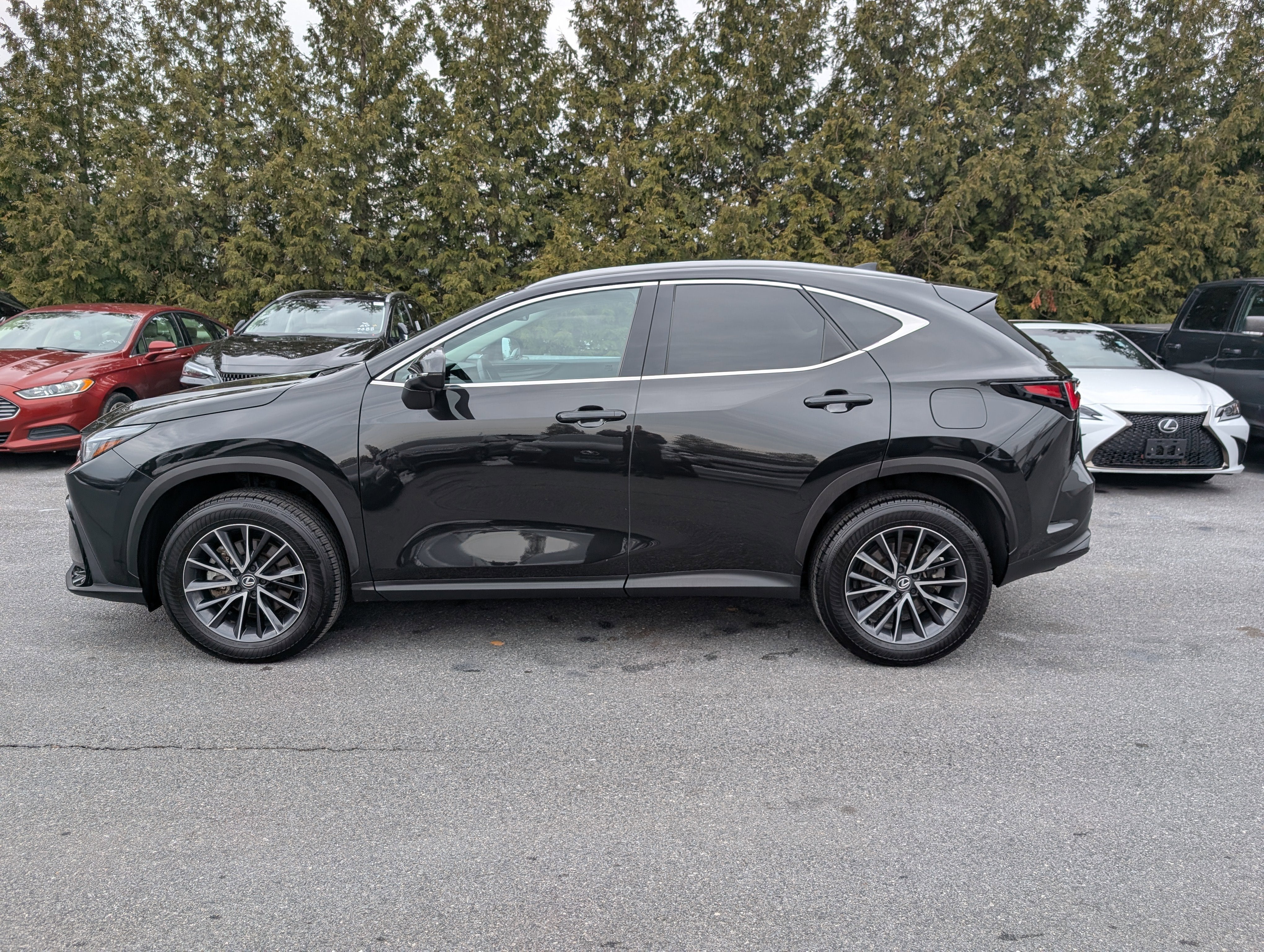 2024 Lexus NX 250