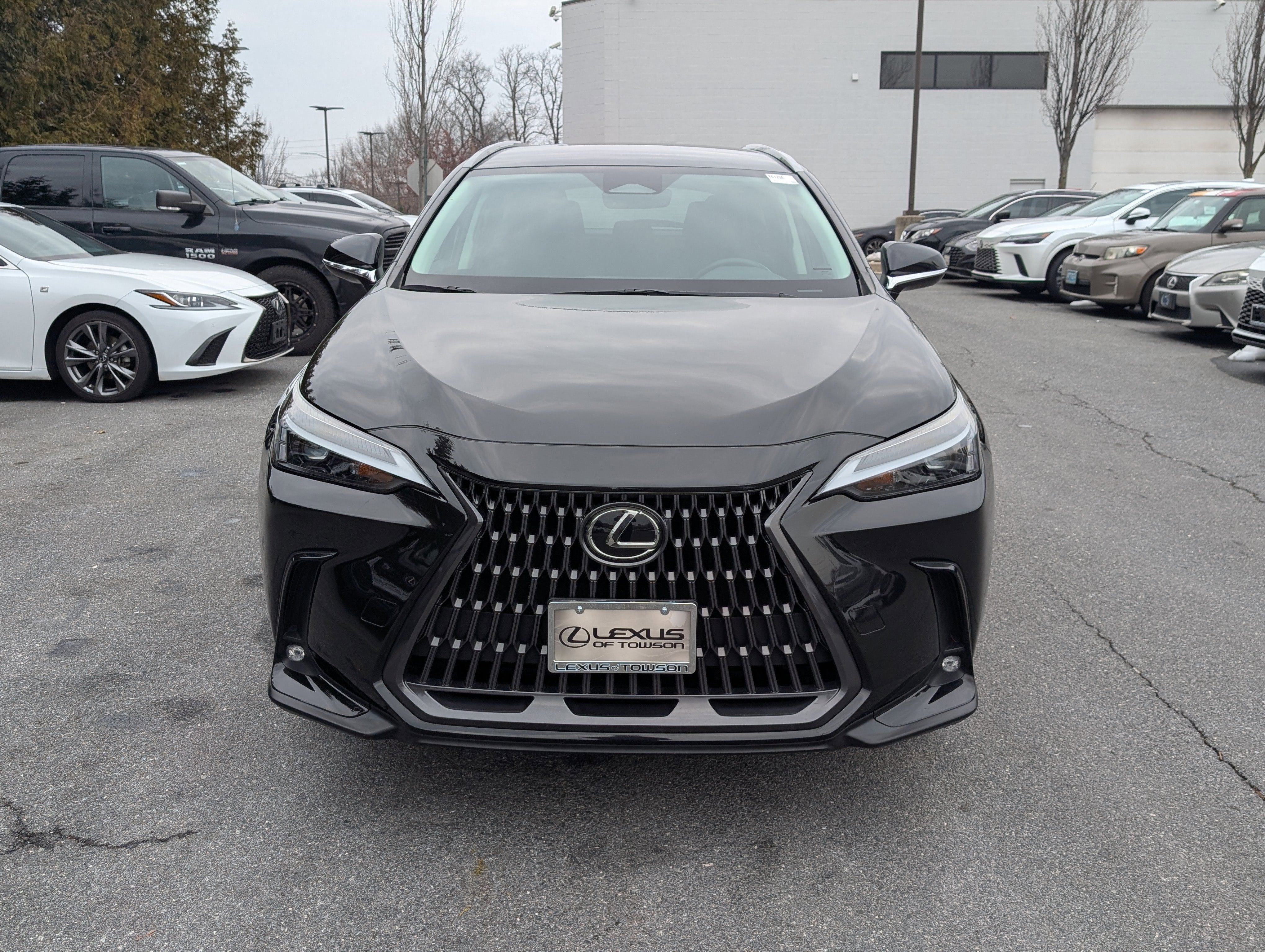 2024 Lexus NX 250