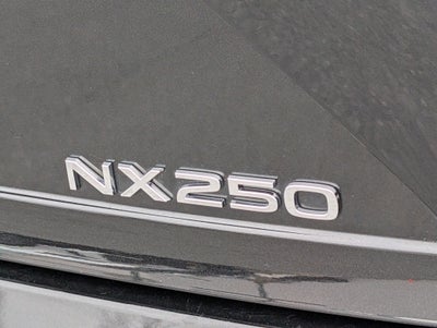 2024 Lexus NX 250