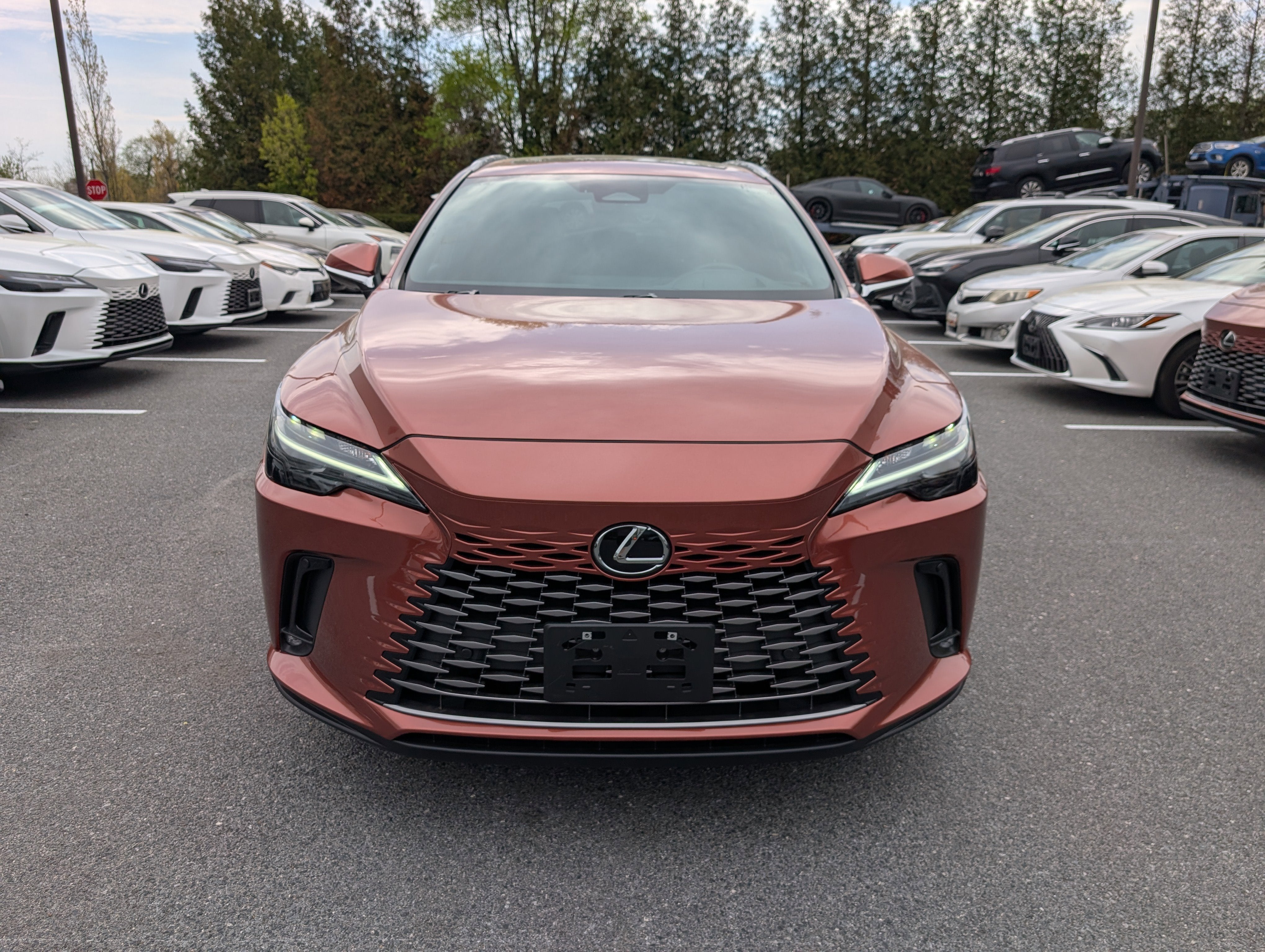 2023 Lexus RX RX 350 Premium Plus