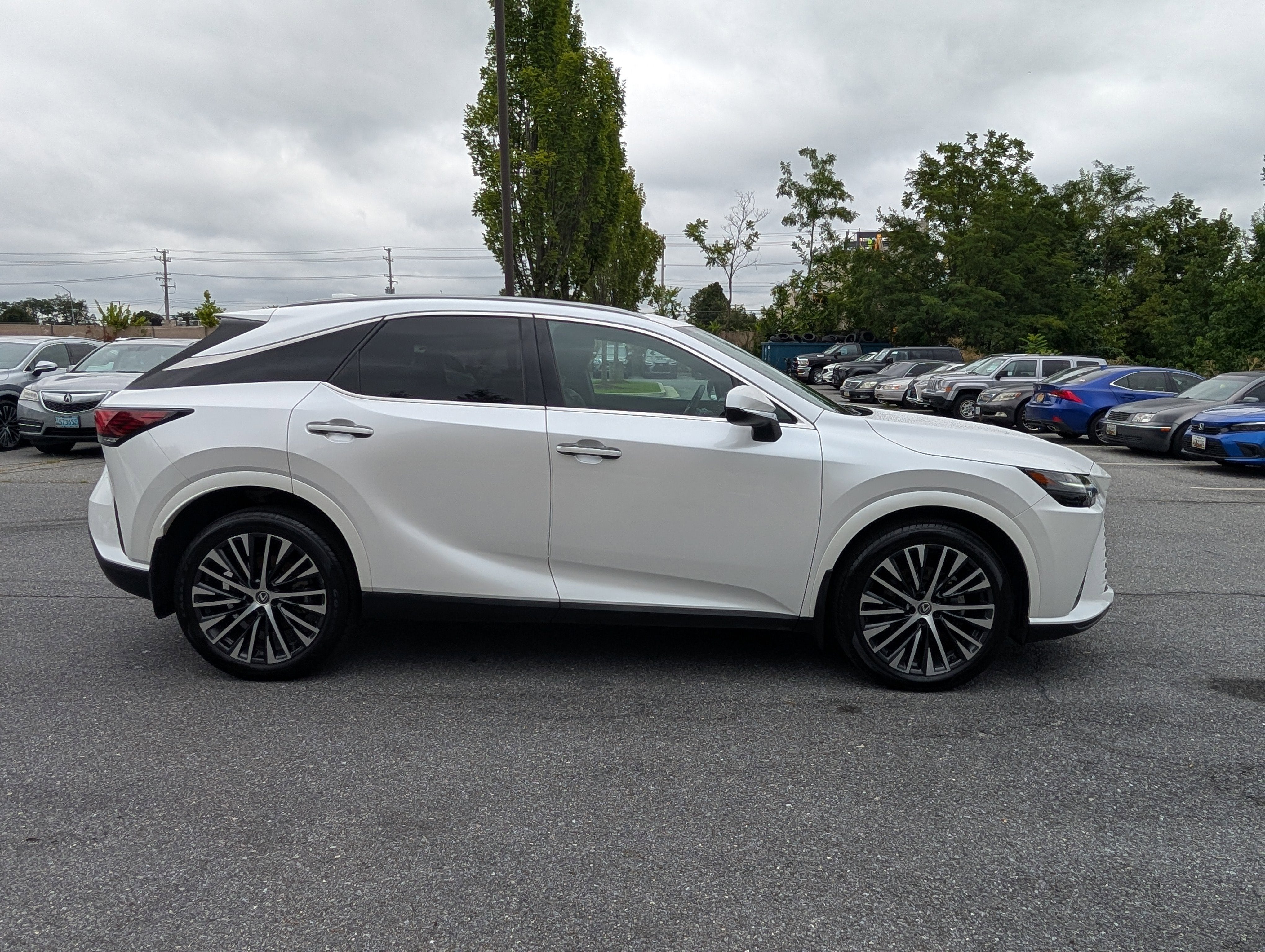 2023 Lexus RX RX 350h Premium Plus