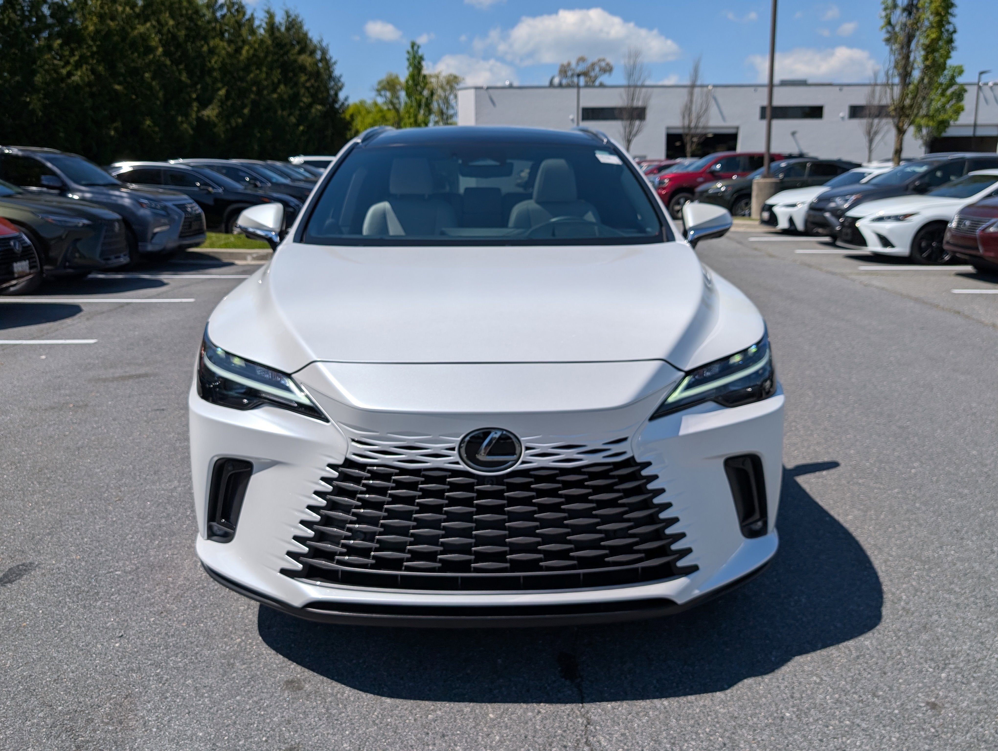 2023 Lexus RX RX 350h Premium Plus