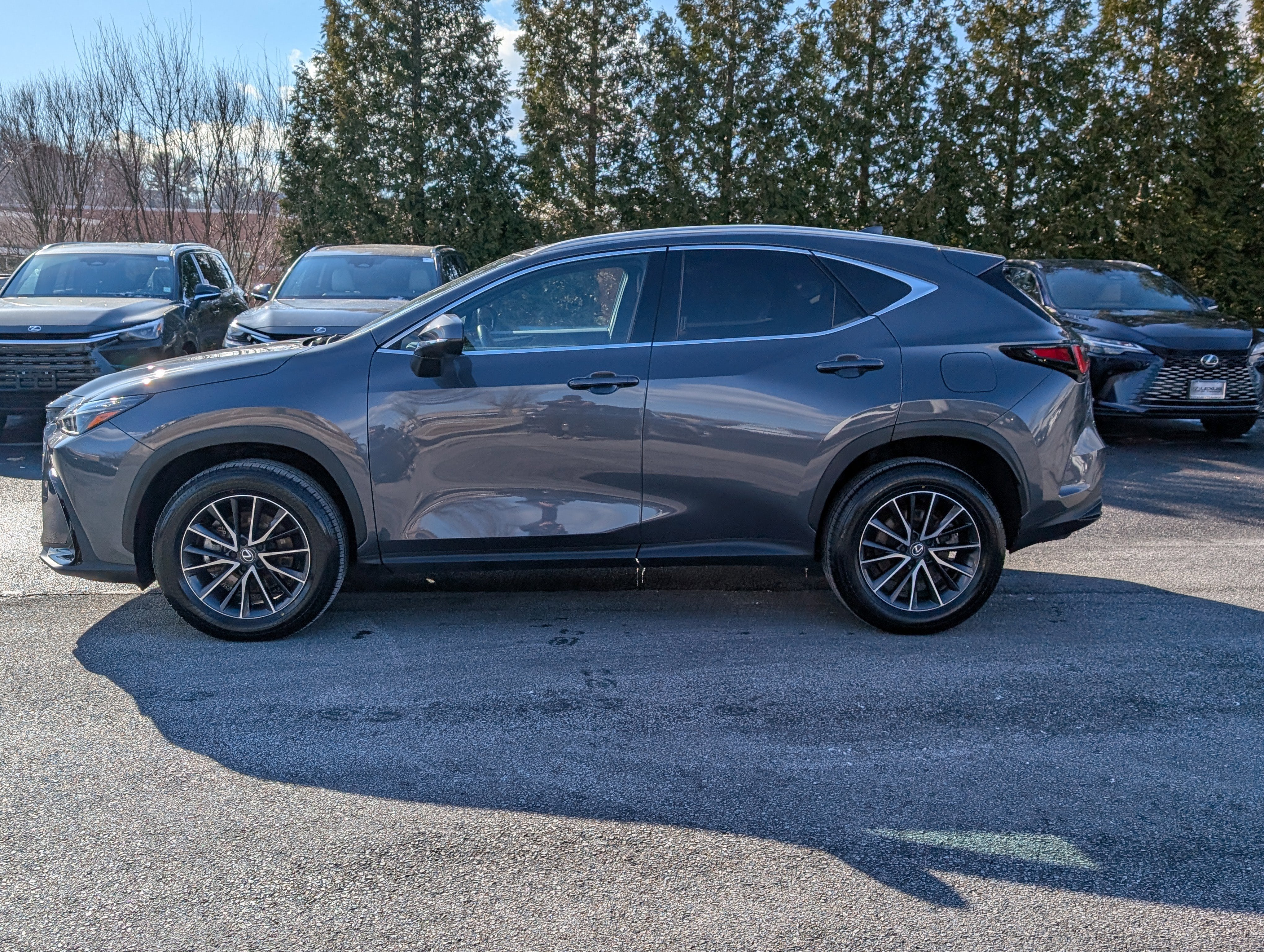 2024 Lexus NX 350h Premium