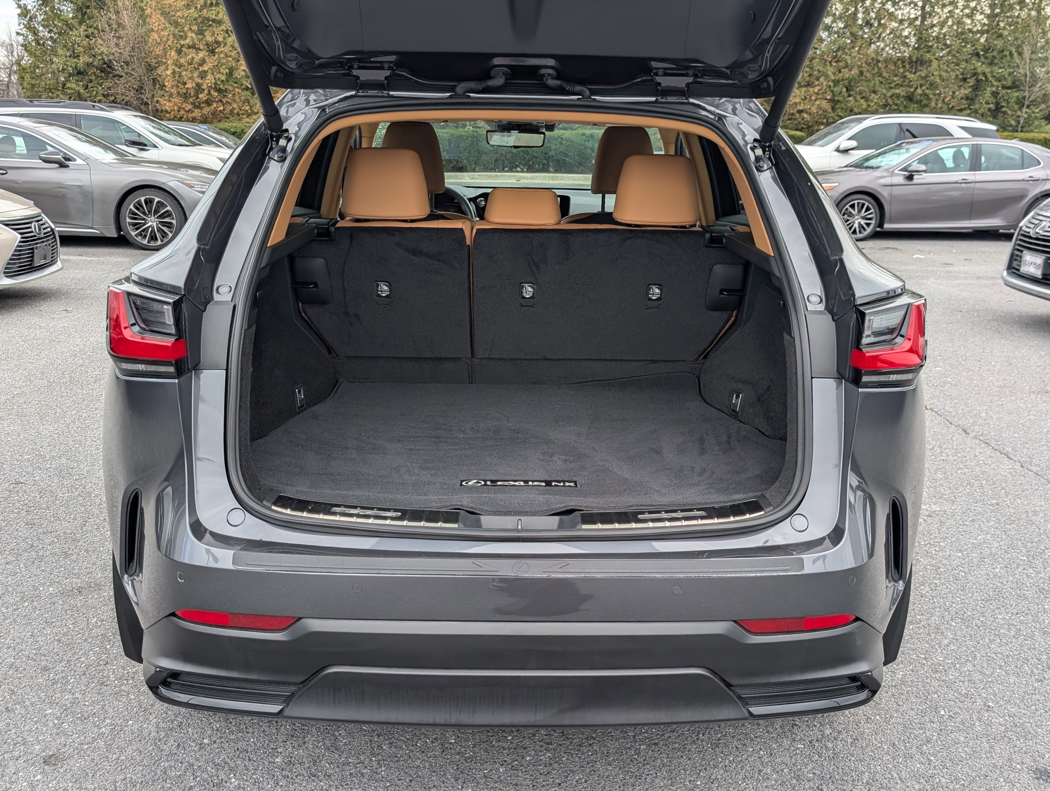 2024 Lexus NX 350h Premium