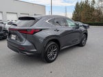 2024 Lexus NX 350h Premium