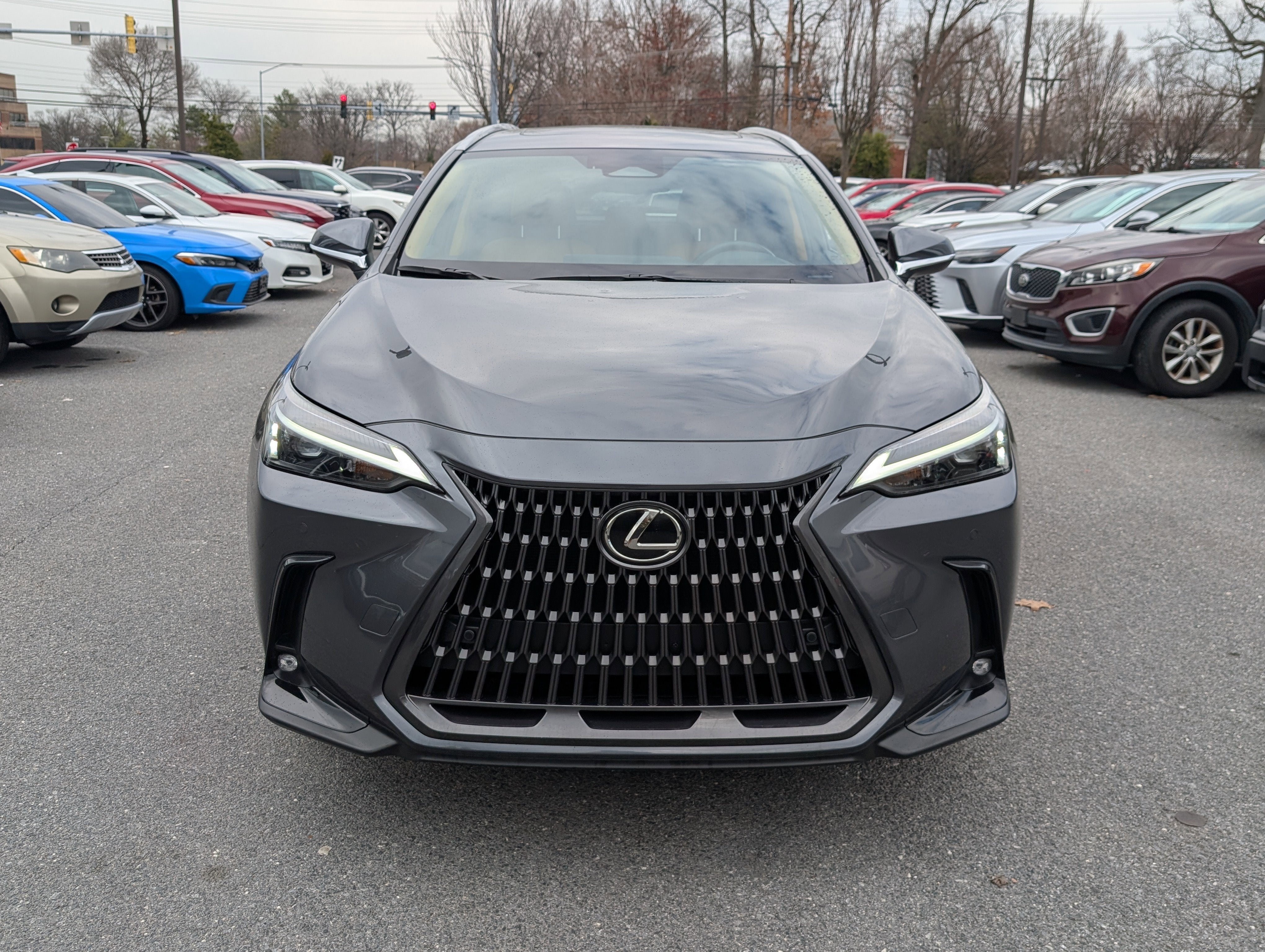2024 Lexus NX 350h Premium