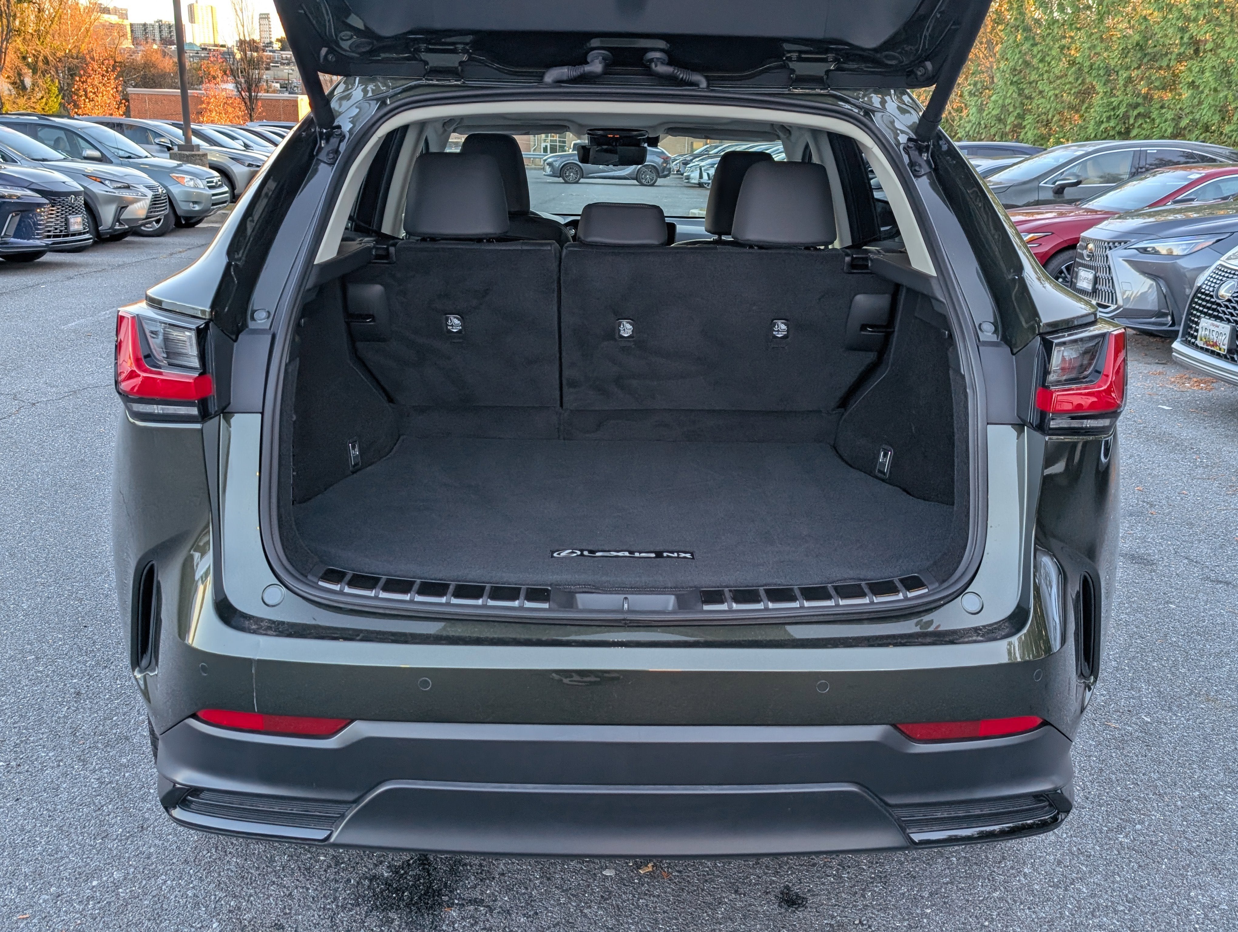 2024 Lexus NX 350 Luxury