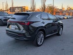 2024 Lexus NX 350 Luxury
