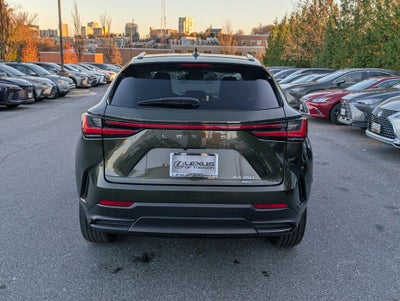 2024 Lexus NX 350 Luxury
