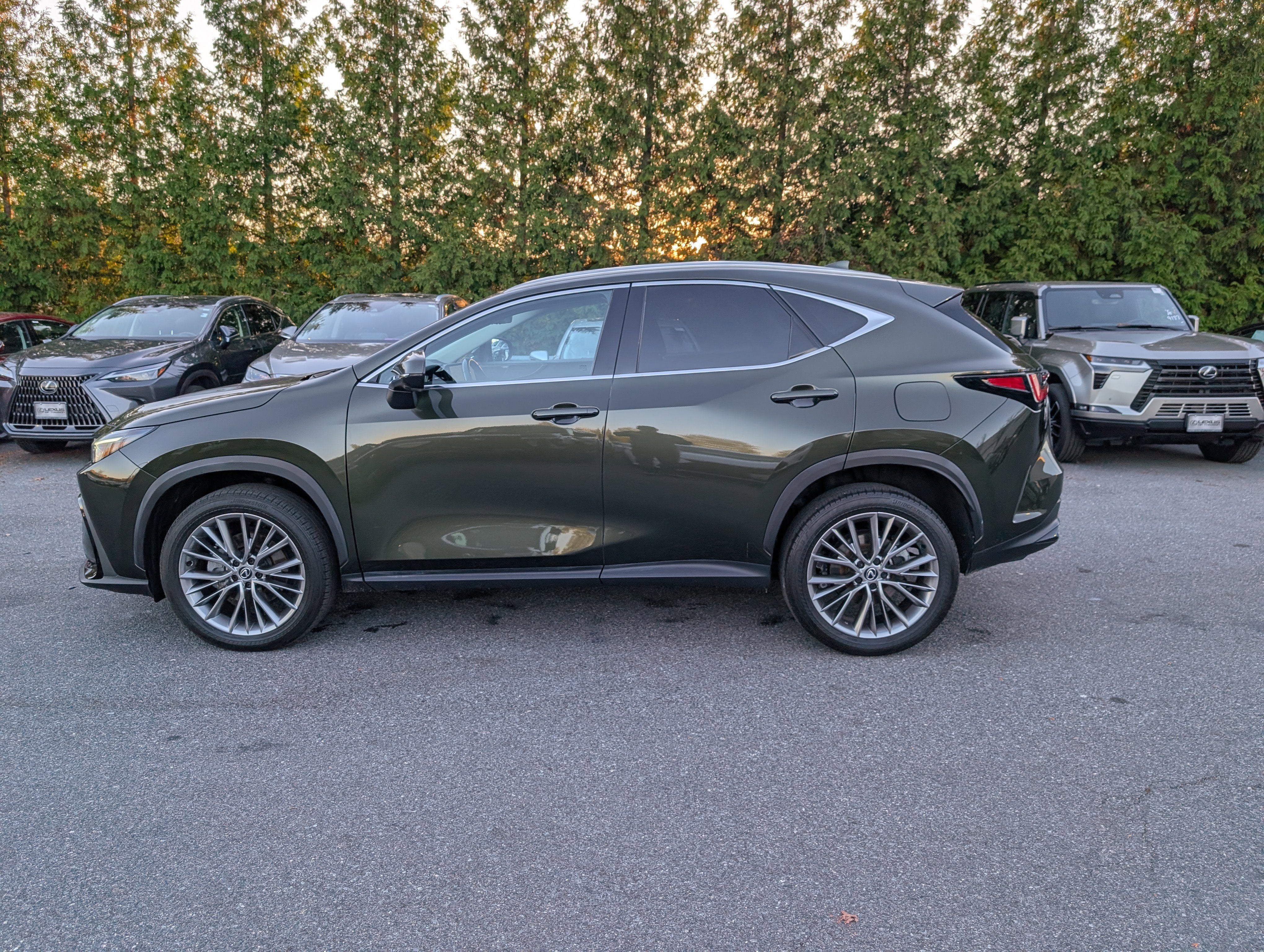 2024 Lexus NX 350 Luxury