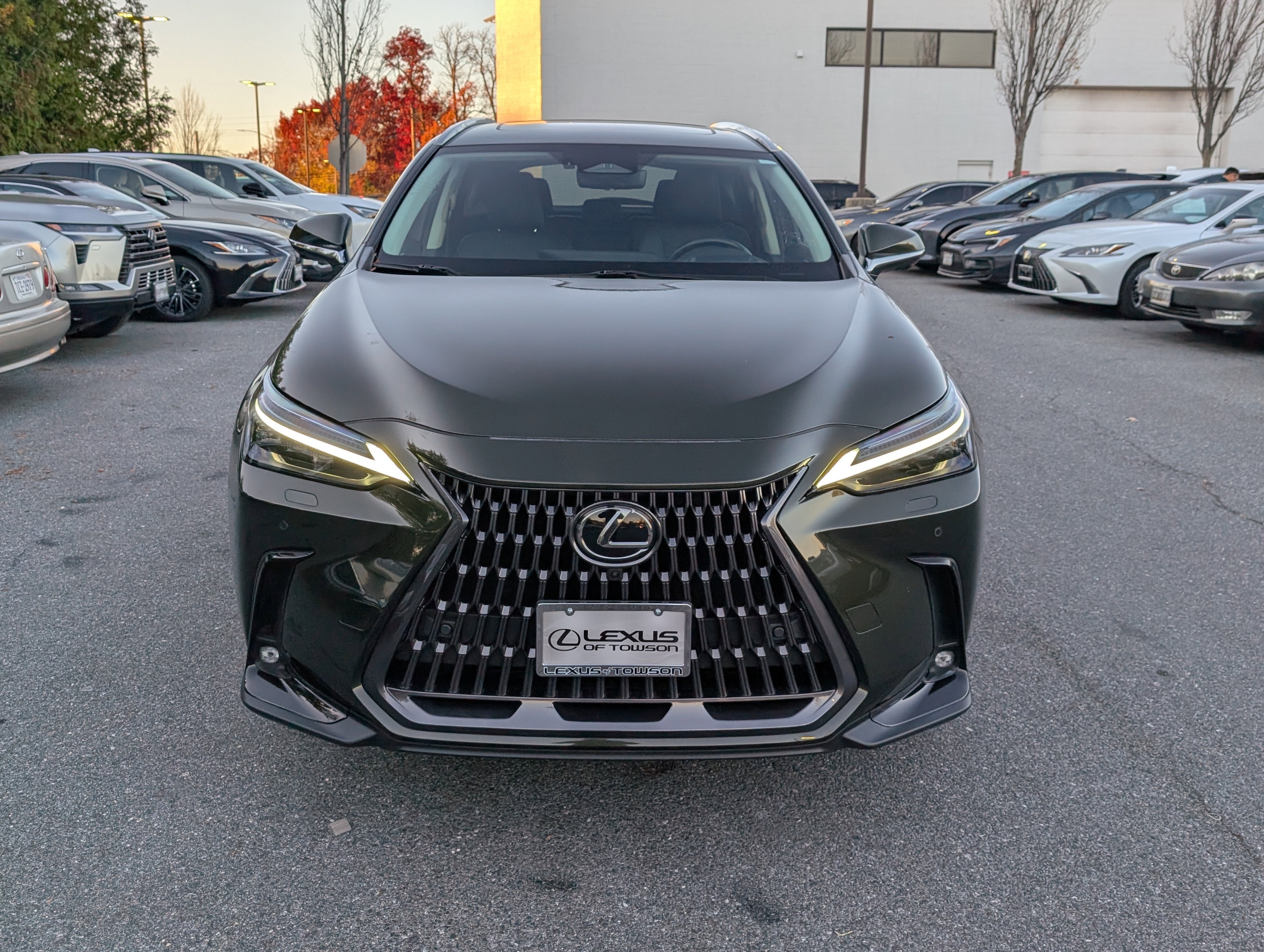 2024 Lexus NX 350 Luxury