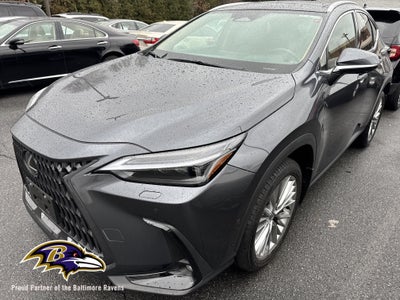 2025 Lexus NX 350 Luxury