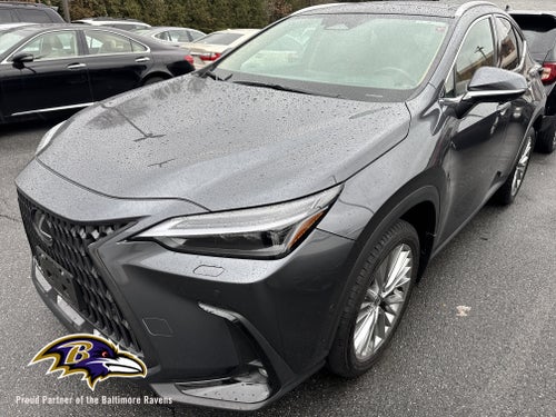 2025 Lexus NX 350 Luxury