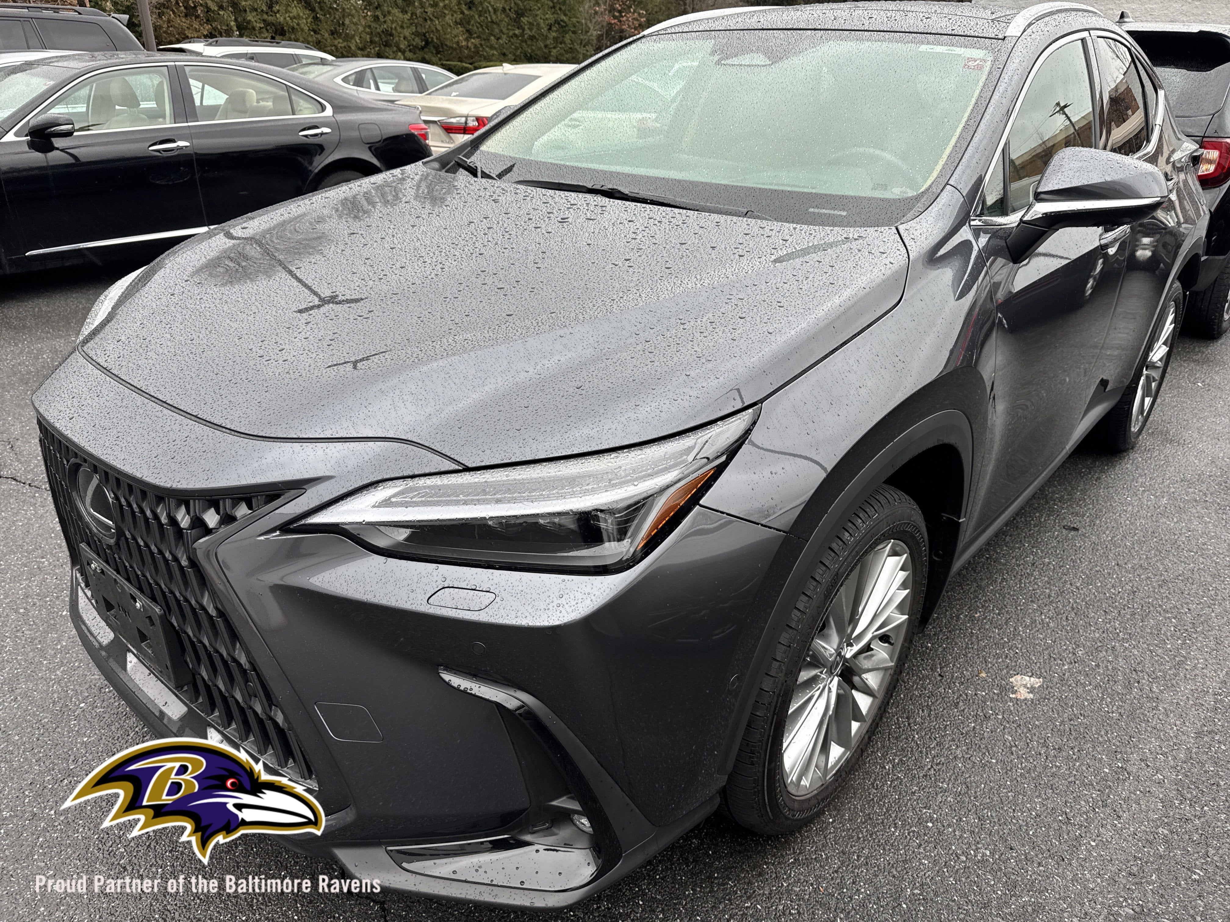 2025 Lexus NX 350 Luxury