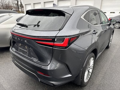2025 Lexus NX 350 Luxury