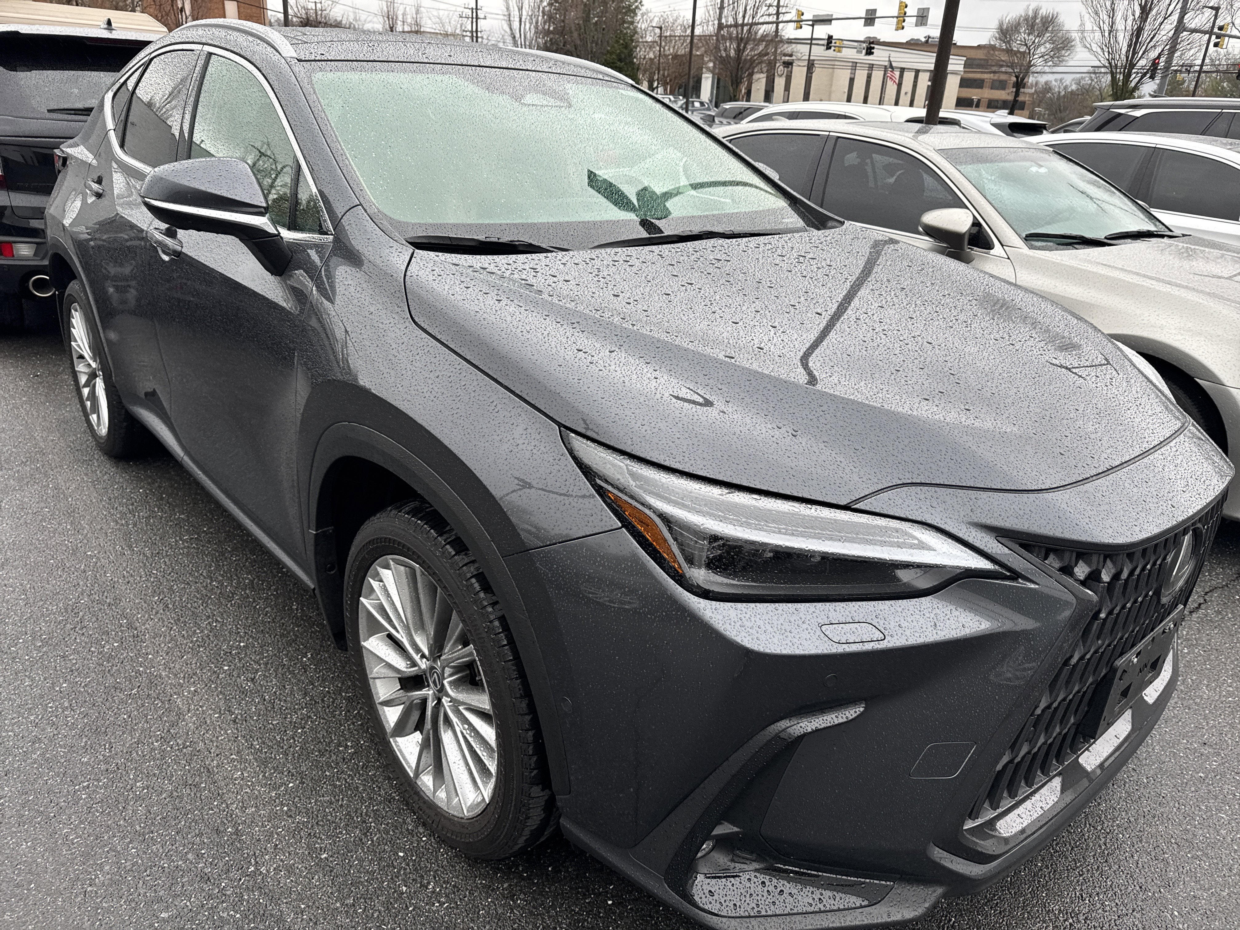 2025 Lexus NX 350 Luxury