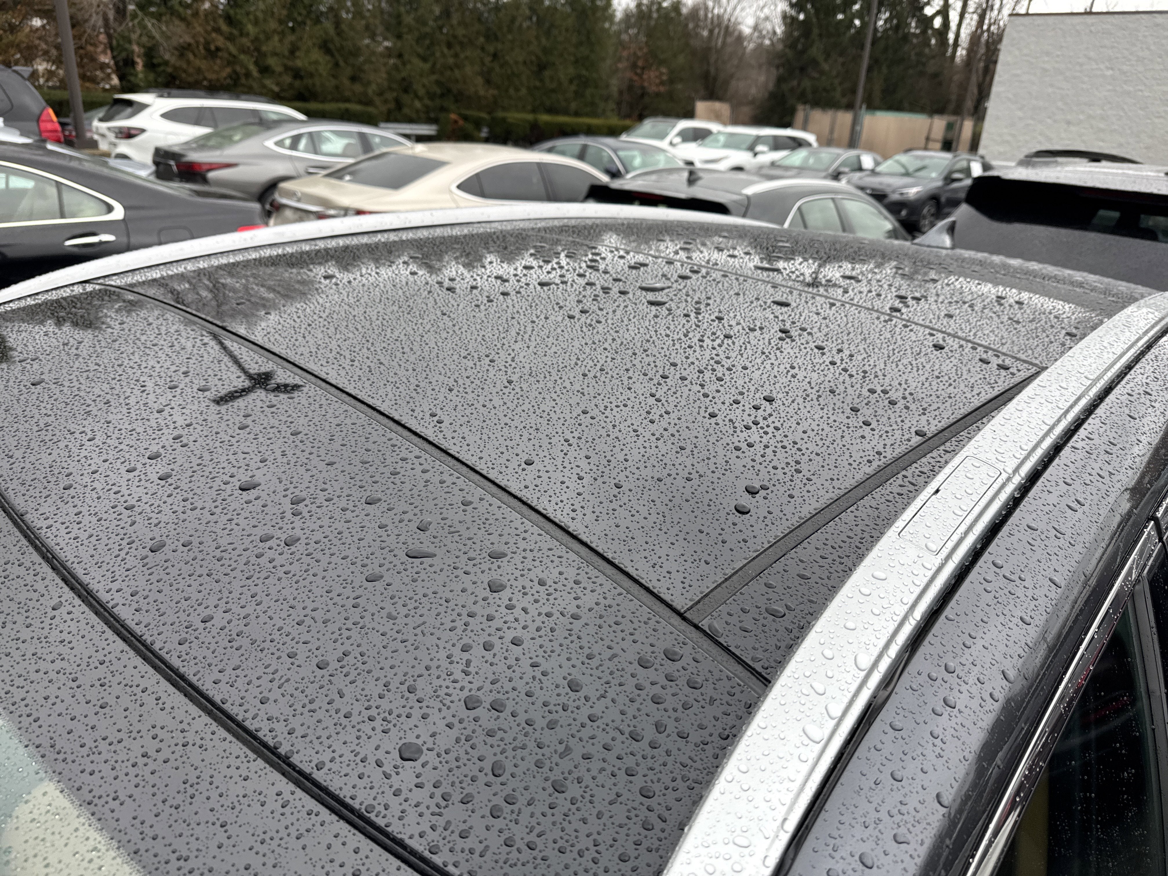 2025 Lexus NX 350 Luxury