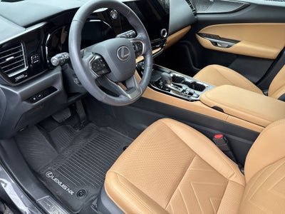 2025 Lexus NX 350 Luxury