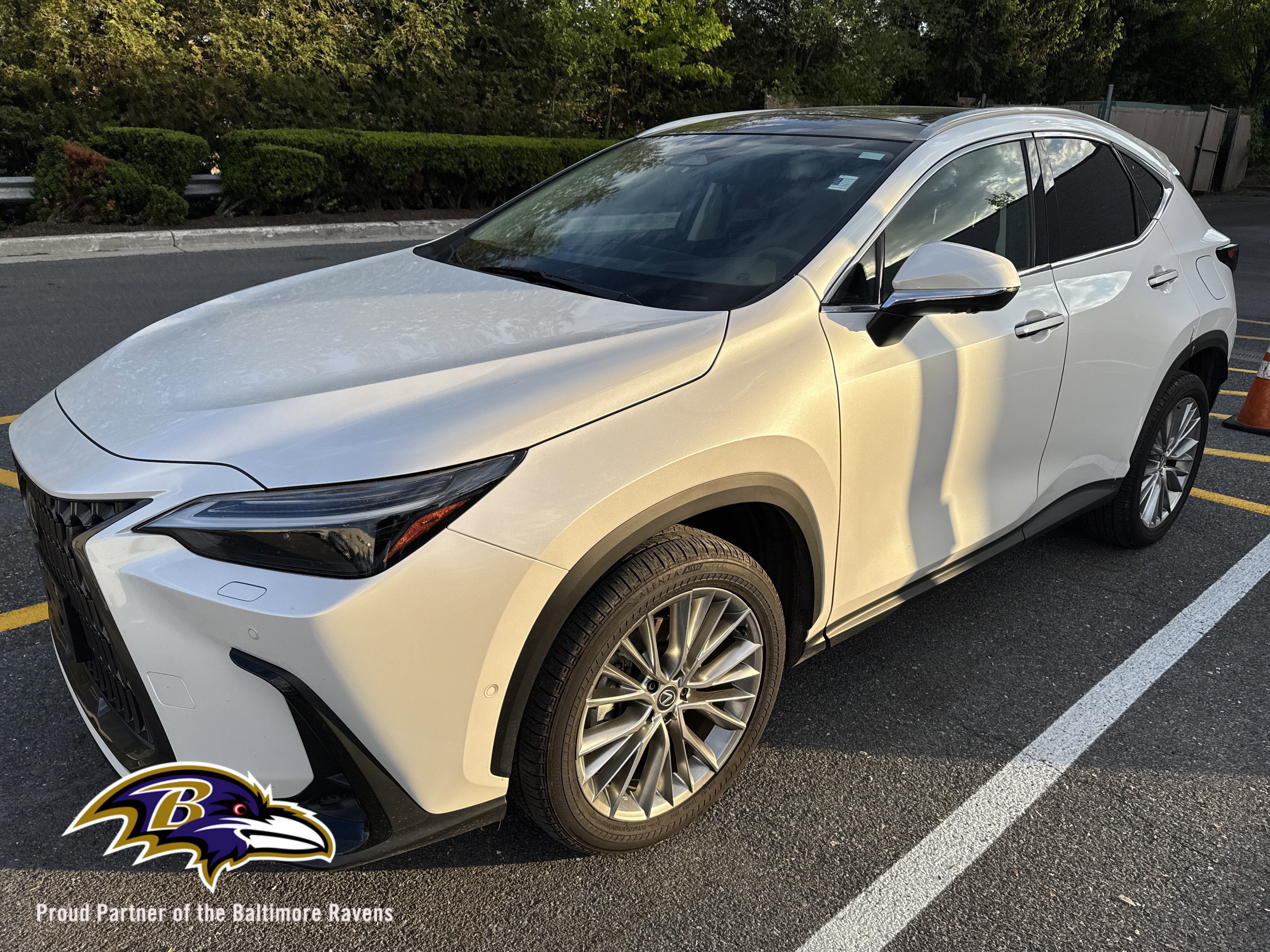 2024 Lexus NX 350h Luxury