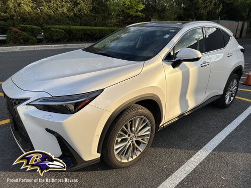 2024 Lexus NX 350h Luxury