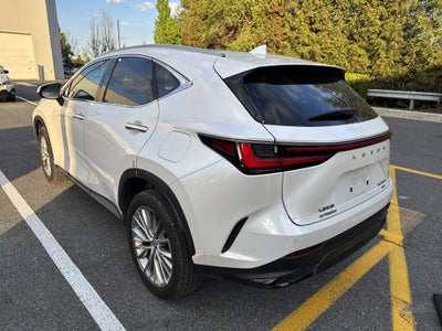 2024 Lexus NX 350h Luxury