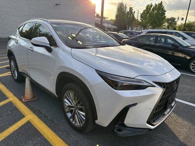 2024 Lexus NX 350h Luxury