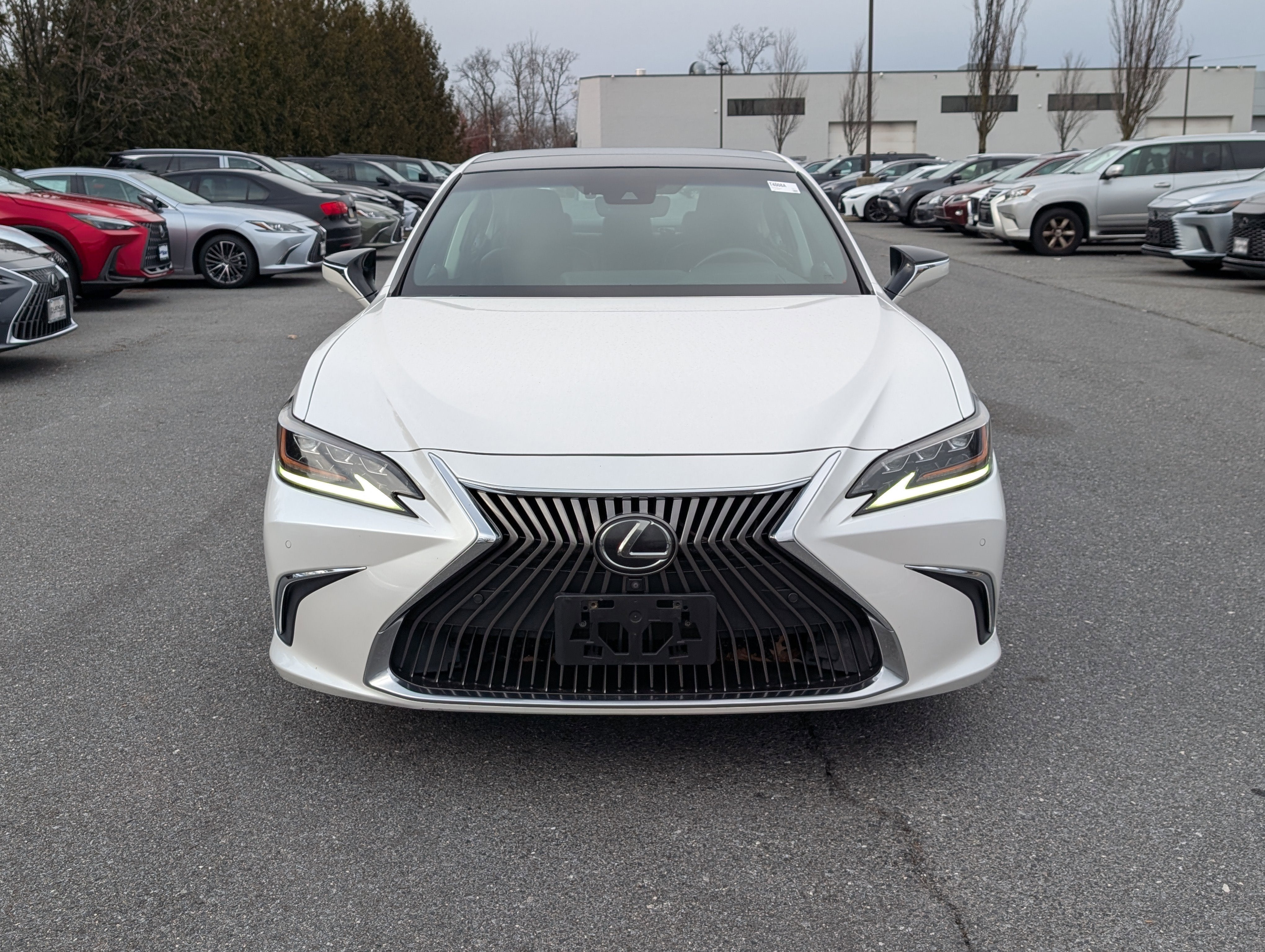 2019 Lexus ES ES 350 Luxury