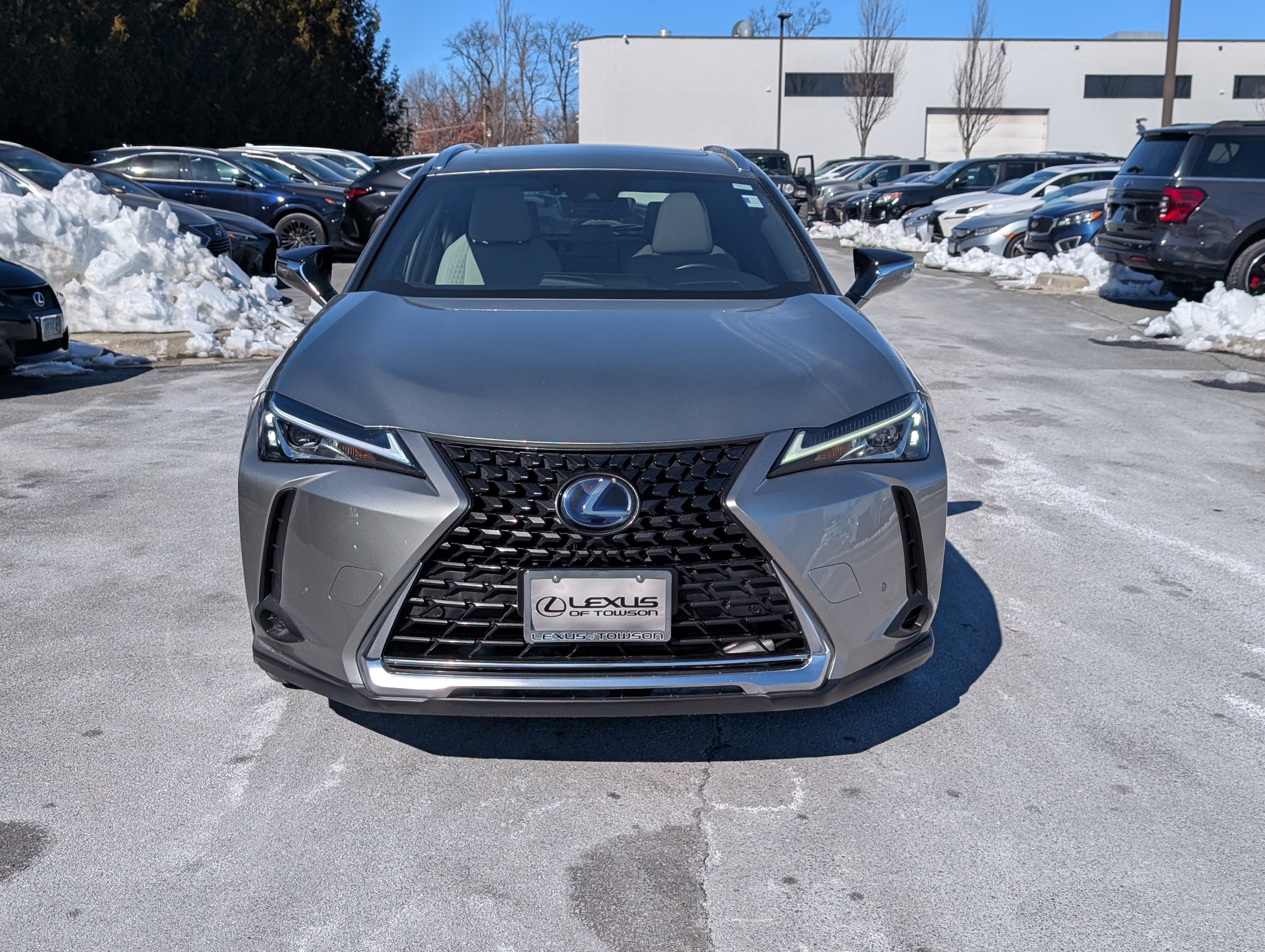 2020 Lexus UX 250h