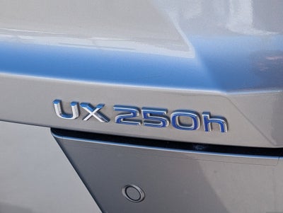 2020 Lexus UX 250h