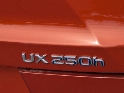 2020 Lexus UX 250h