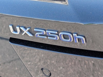 2022 Lexus UX 250h F SPORT