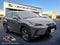 2019 Lexus NX NX 300h