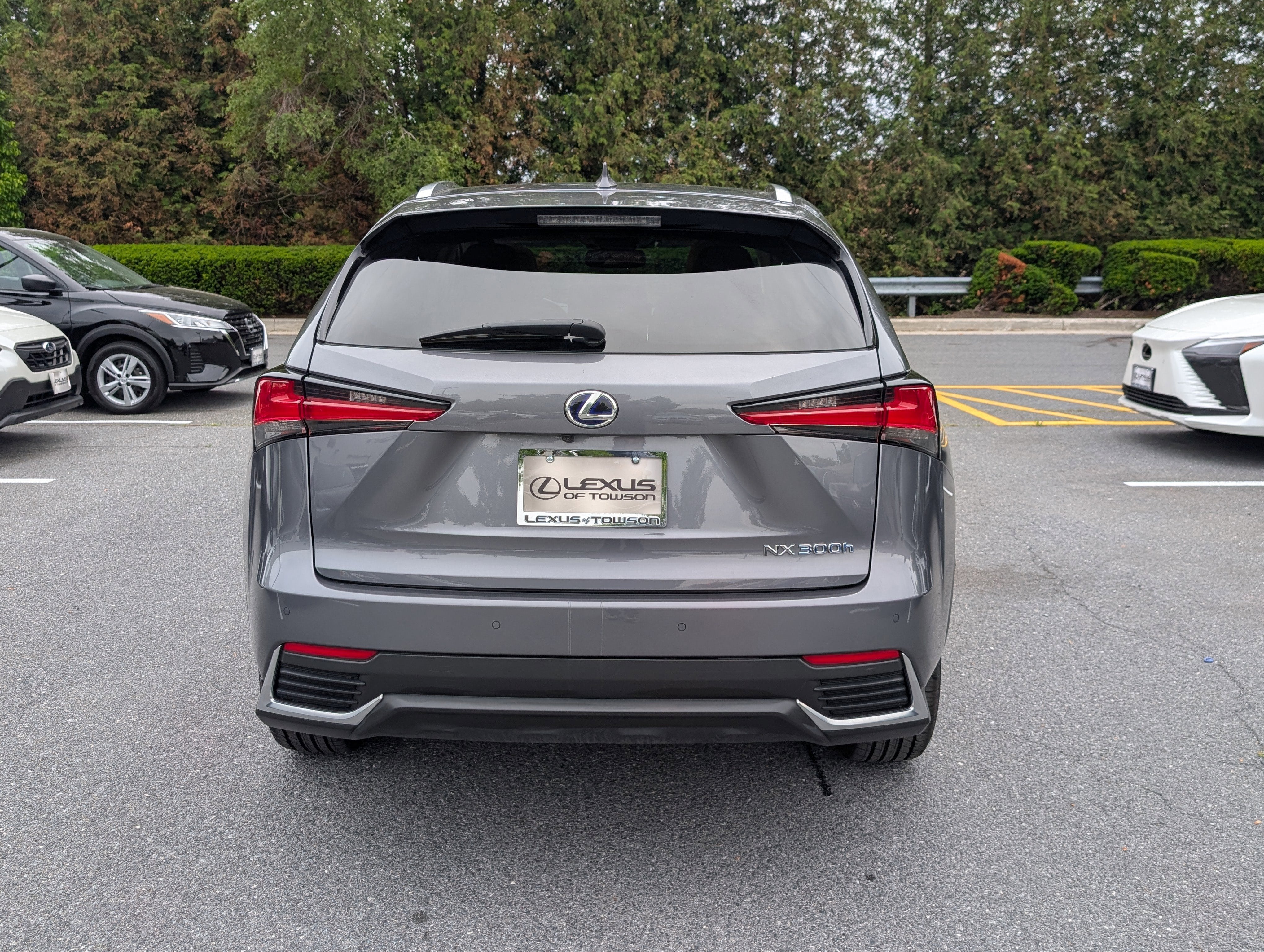2019 Lexus NX NX 300h