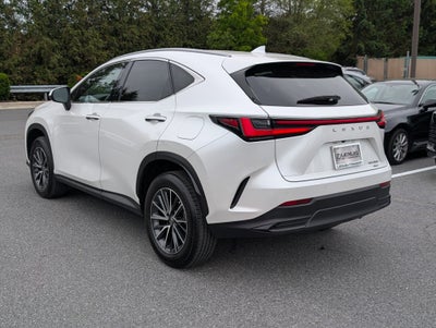 2023 Lexus NX 350 Premium